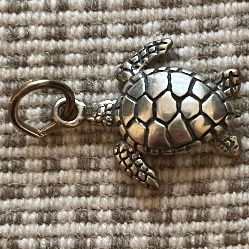 Turtle Charm - Picture 8 of 8